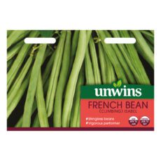 5051618032261 1 French Bean Climbing Isabel Seeds.jpg
